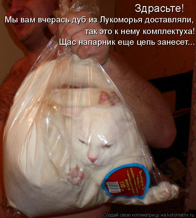 Здрасьте! Мы вам вчерась дуб из Лукоморья доставляли, так это к нему комплектуха! Щас напарник еще ц... Котоматрица: Здрасьте! Мы вам вчерась дуб из Лукоморья доставляли, так это к нему комплектуха! Щас напарник еще цепь занесет...