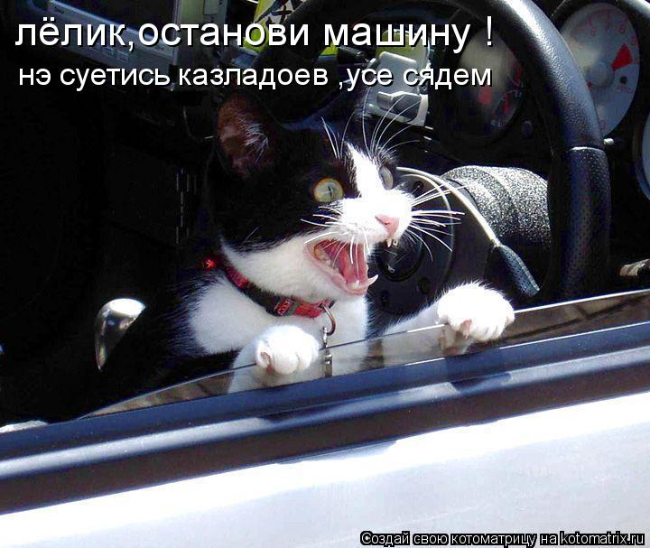 лёлик,останови машину ! нэ суетись казладоев ,усе сядем... Котоматрица: лёлик,останови машину ! нэ суетись казладоев ,усе сядем