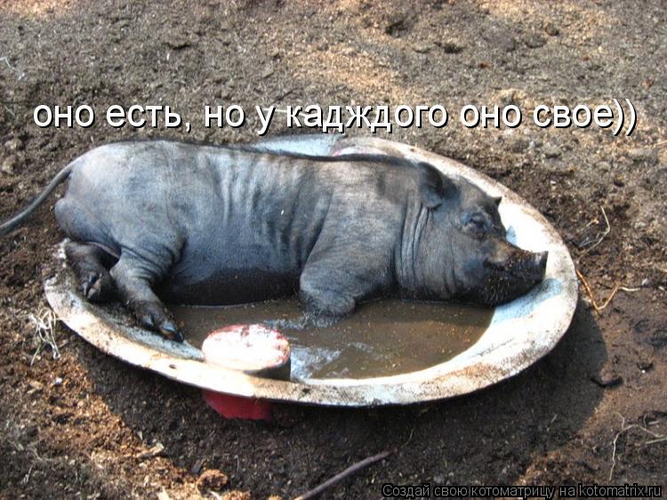 оно есть, но у кадждого оно свое))... Котоматрица: оно есть, но у кадждого оно свое))
