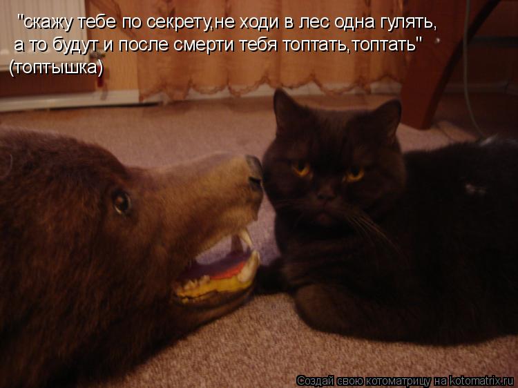 "скажу тебе по секрету,не ходи в лес одна гулять, а то будут и после смерти тебя топтать,топтать" (то... Котоматрица: "скажу тебе по секрету,не ходи в лес одна гулять, а то будут и после смерти тебя топтать,топтать" (топтышка)