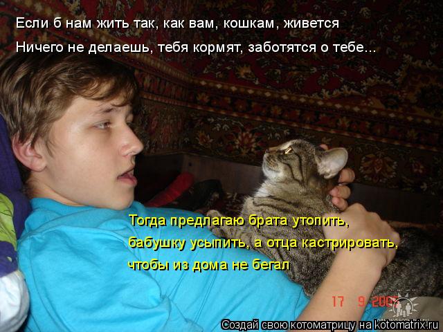 Котоматрица: Если б нам жить так, как вам, кошкам, живется Ничего не делаешь, тебя кормят, заботятся о тебе... Тогда предлагаю брата утопить, бабушку усыпит