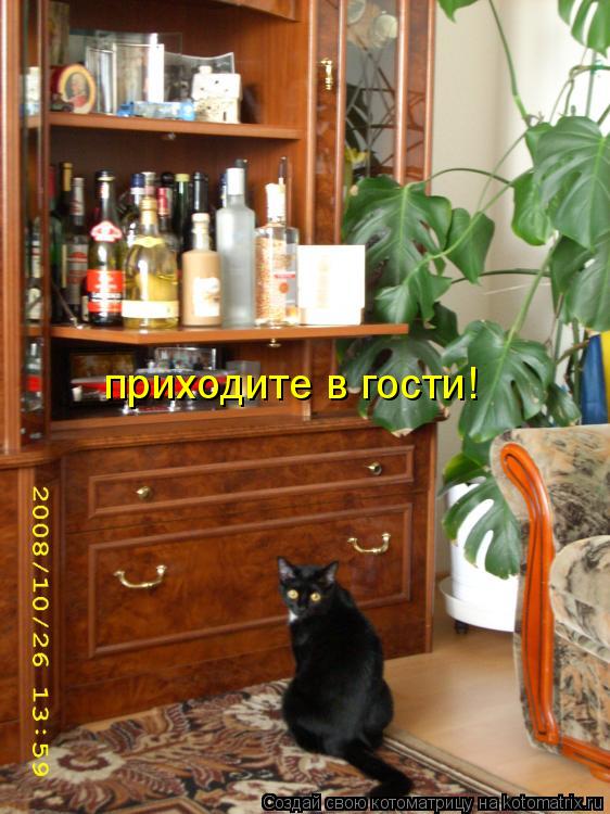 приходите в гости!... Котоматрица: приходите в гости!