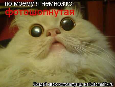 по моему я немножко фотошопнутая... Котоматрица: по моему я немножко фотошопнутая