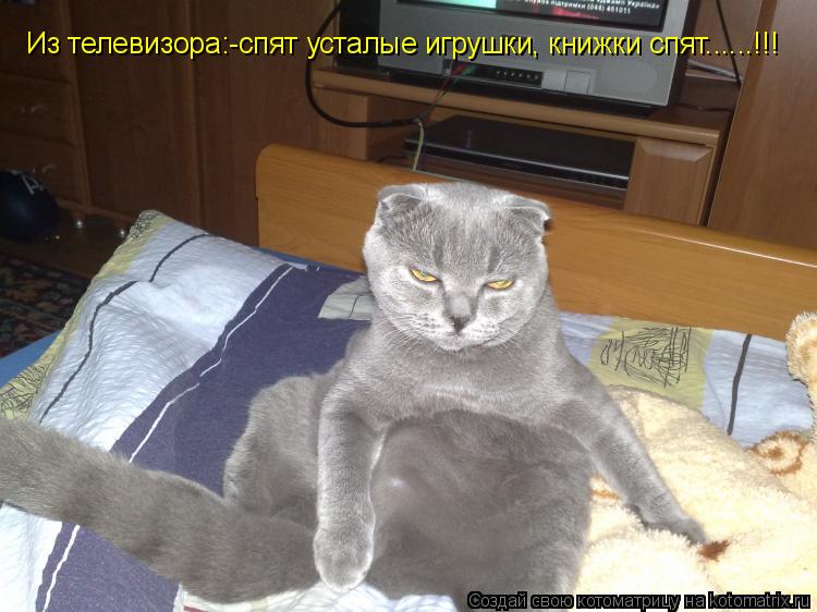 Из телевизора:-спят усталые игрушки, книжки спят......!!!... Котоматрица: Из телевизора:-спят усталые игрушки, книжки спят......!!!