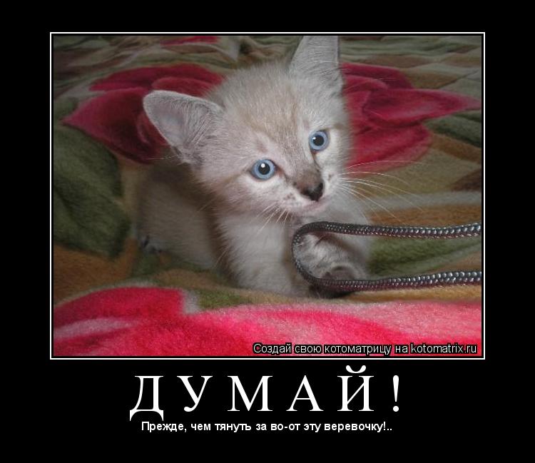 Котоматрица: Д У М А Й ! 