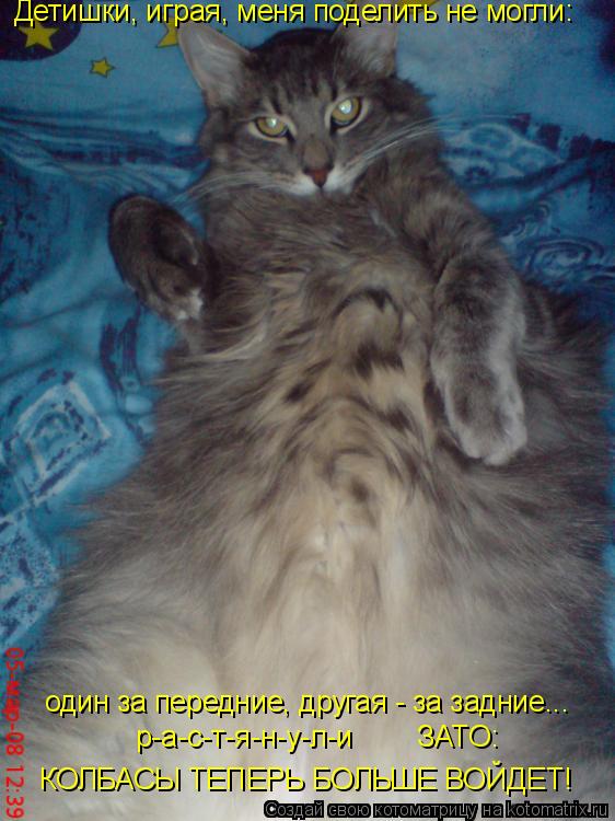 Детишки, играя, меня поделить не могли: один за передние, другая - за задние... р-а-с-т-я-н-у-л-и ... Котоматрица: Детишки, играя, меня поделить не могли: один за передние, другая - за задние... р-а-с-т-я-н-у-л-и ЗАТО: КОЛБАСЫ ТЕПЕРЬ БОЛЬШЕ ВОЙДЕТ!