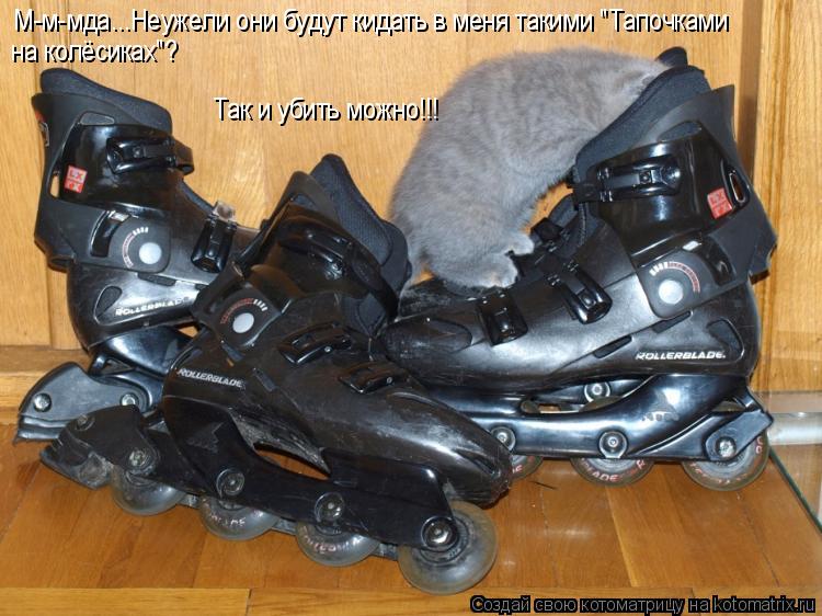 М-м-мда...Неужели они будут кидать в меня такими "Тапочками на колёсиках"? Так и убить можно!!!... Котоматрица: М-м-мда...Неужели они будут кидать в меня такими "Тапочками на колёсиках"? Так и убить можно!!!