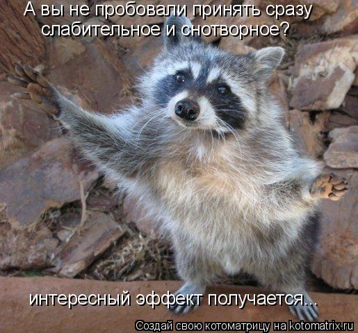 Котоматрица: А вы не пробовали принять сразу слабительное и снотворное? интересный эффект получается...