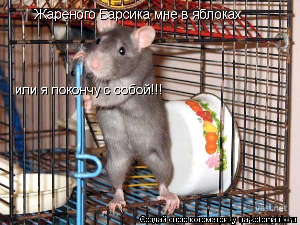 Котоматрица: Жареного Барсика мне в яблоках или я покончу с собой!!!