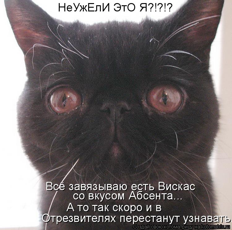 НеУжЕлИ ЭтО Я?!?!? Всё завязываю есть Вискас со вкусом Абсента... А то так скоро и в Отрезвителях ... Котоматрица: НеУжЕлИ ЭтО Я?!?!? Всё завязываю есть Вискас со вкусом Абсента... А то так скоро и в Отрезвителях перестанут узнавать...