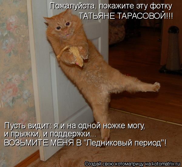 Котоматрица: Пожалуйста, покажите эту фотку ТАТЬЯНЕ ТАРАСОВОЙ!!! Пусть видит: я и на одной ножке могу, и прыжки, и поддержки... ВОЗЬМИТЕ МЕНЯ В "Ледниковый п