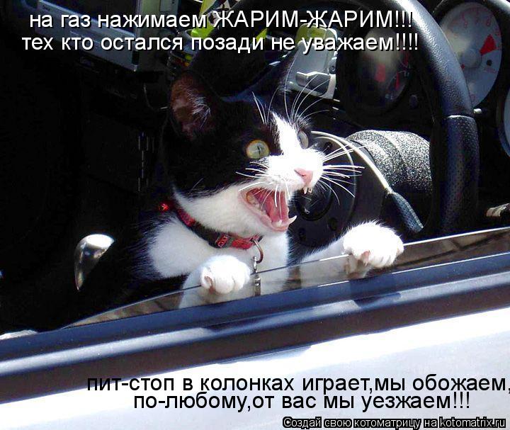 Котоматрица: на газ нажимаем ЖАРИМ-ЖАРИМ!!! тех кто остался позади не уважаем!!!! пит-стоп в колонках играет,мы обожаем, по-любому,от вас мы уезжаем!!!