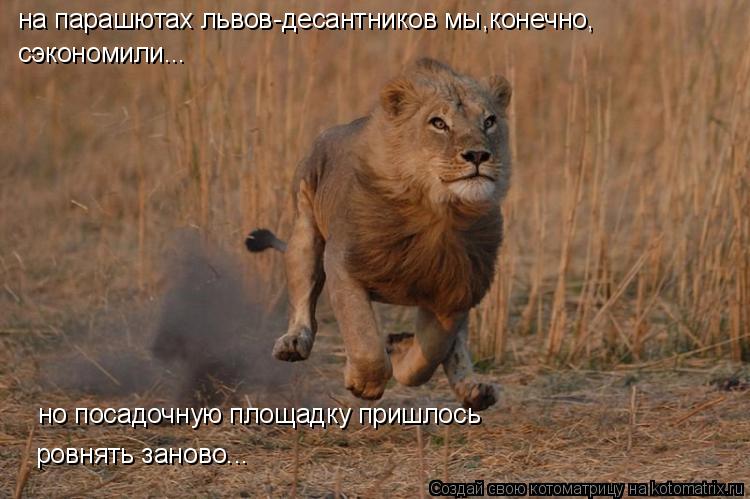 на парашютах львов-десантников мы,конечно, сэкономили... но посадочную площадку пришлось ровнять зано... Котоматрица: на парашютах львов-десантников мы,конечно, сэкономили... но посадочную площадку пришлось ровнять заново...