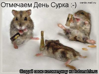 Отмечаем День Сурка :-)... Котоматрица: Отмечаем День Сурка :-)