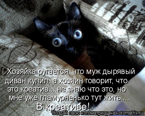 Котоматрица: Хозяйка ругается, что муж дырявый диван купил, а хозяин говорит, что это креатив....не знаю что это, но мне уже гламурненько тут жить.... В креат