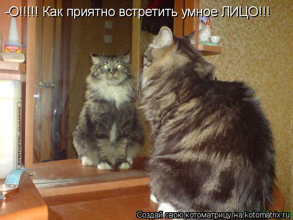 Котоматрица: -О!!!!! Как приятно встретить умное ЛИЦО!!!