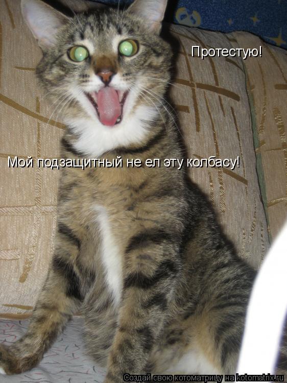 Котоматрица: Протестую! Мой подзащитный не ел эту колбасу!