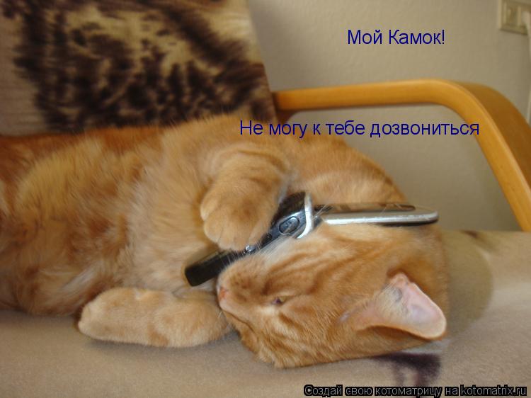 Мой Камок! Не могу к тебе дозвониться... Котоматрица: Мой Камок! Не могу к тебе дозвониться