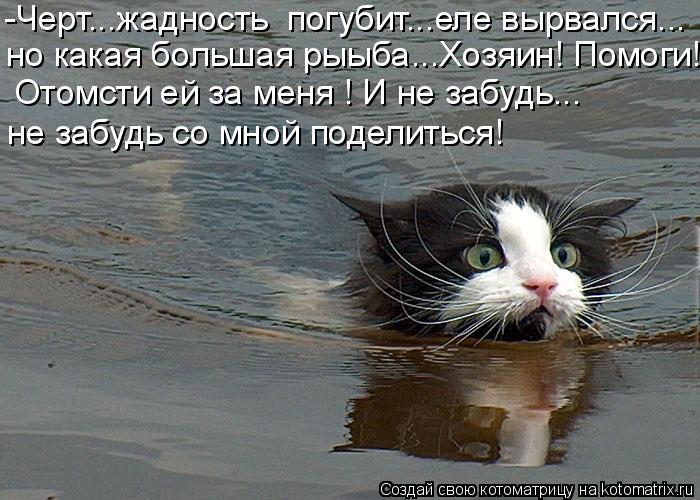 -Черт...жадность погубит...еле вырвался... но какая большая рыыба...Хозяин! Помоги! Отомсти ей за ме... Котоматрица: -Черт...жадность погубит...еле вырвался... но какая большая рыыба...Хозяин! Помоги! Отомсти ей за меня ! И не забудь... не забудь со мной поделить