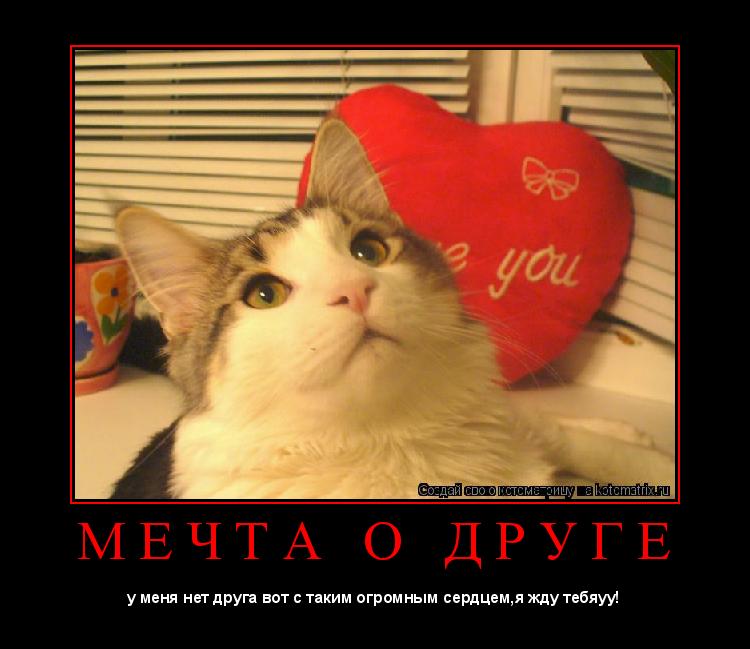 М Е Ч Т А О Д Р У Г Е ... Котоматрица: М Е Ч Т А О Д Р У Г Е