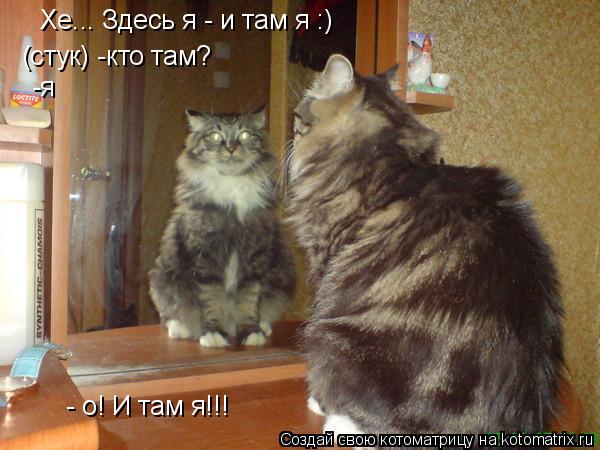 Котоматрица: Хе... Здесь я - и там я :) (стук) -кто там? -я - о! И там я!!!