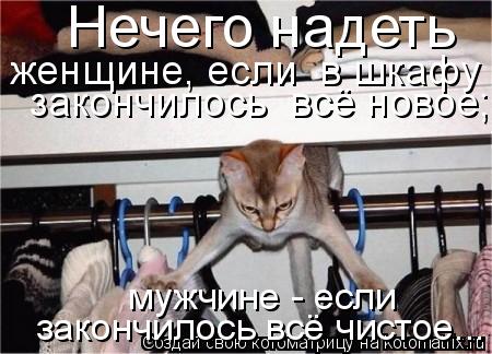 Нечего надеть женщине, если в шкафу закончилось всё новое; мужчине - если закончилось всё чистое.... Котоматрица: Нечего надеть женщине, если в шкафу закончилось всё новое; мужчине - если закончилось всё чистое...