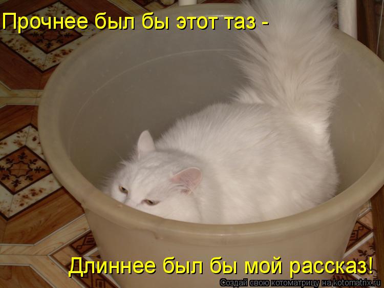 Прочнее был бы этот таз - Длиннее был бы мой рассказ!... Котоматрица: Прочнее был бы этот таз - Длиннее был бы мой рассказ!