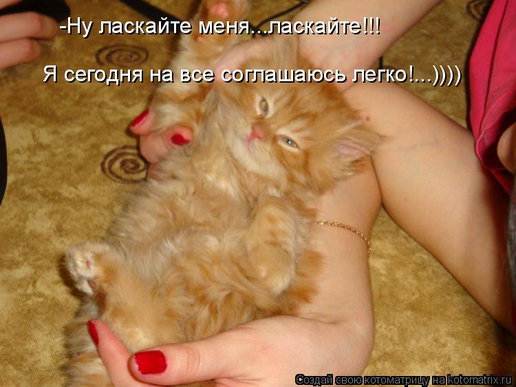 Котоматрица: -Ну ласкайте меня...ласкайте!!!  Я сегодня на все соглашаюсь легко!...))))