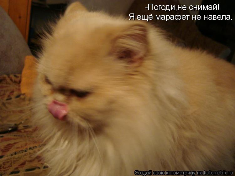Котоматрица: -Погоди,не снимай! Я ещё марафет не навела.