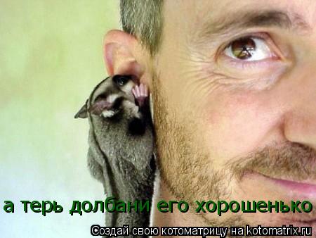 а терь долбани его хорошенько... Котоматрица: а терь долбани его хорошенько