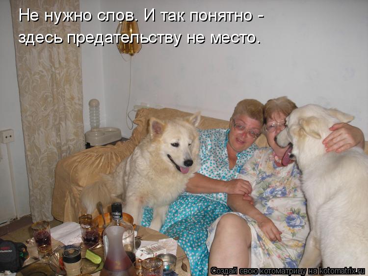 Котоматрица: Не нужно слов. И так понятно -  здесь предательству не место.