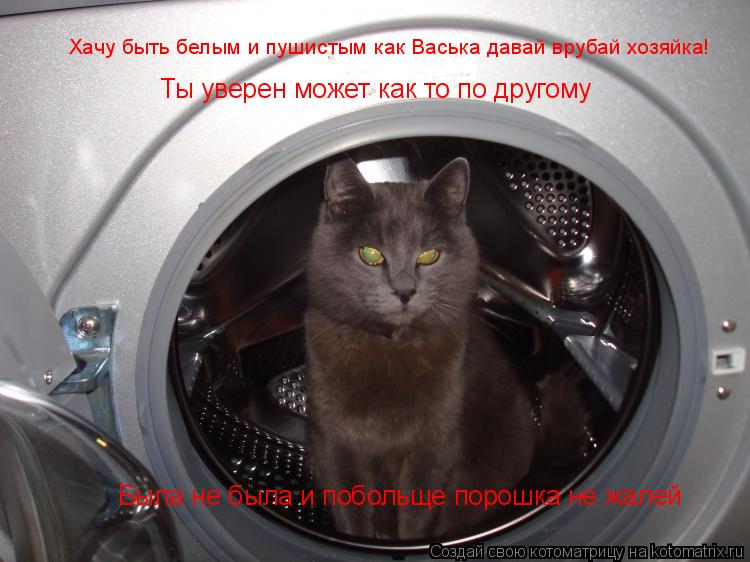 Котоматрица: Хачу быть белым и пушистым как Васька давай врубай хозяйка! Ты уверен может как то по другому Была не была и побольще порошка не жалей