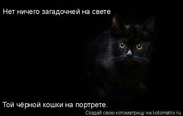 Котоматрица: Нет ничего загадочней на свете Той чёрной кошки на портрете.