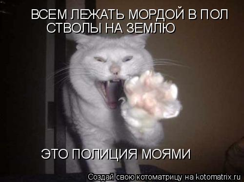 Котоматрица: ВСЕМ ЛЕЖАТЬ МОРДОЙ В ПОЛ СТВОЛЫ НА ЗЕМЛЮ ЭТО ПОЛИЦИЯ МОЯМИ