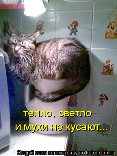 тепло, светло и мухи не кусают...... Котоматрица: тепло, светло и мухи не кусают...