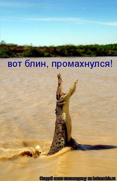 вот блин, промахнулся!... Котоматрица: вот блин, промахнулся!