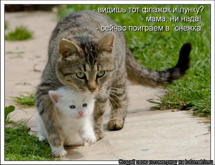 - видишь тот флажок и лунку? - мама, ни нада! - сейчас поиграем в "снежка"... Котоматрица: - видишь тот флажок и лунку? - мама, ни нада! - сейчас поиграем в "снежка"