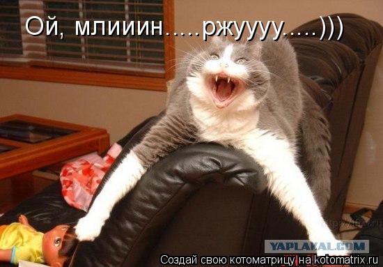 Котоматрица: Ой, млииин.....ржуууу.....)))