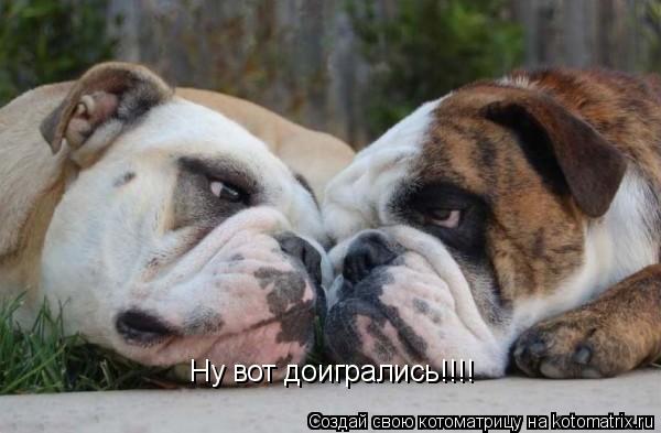 Котоматрица: Ну вот доигрались!!!!
