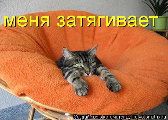 меня затягивает... Котоматрица: меня затягивает