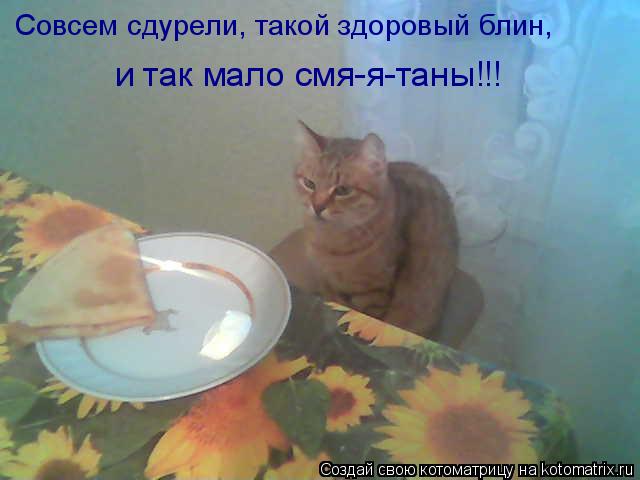 Совсем сдурели, такой здоровый блин, и так мало смя-я-таны!!!... Котоматрица: Совсем сдурели, такой здоровый блин, и так мало смя-я-таны!!!