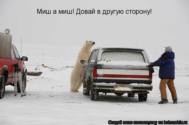 Котоматрица: Миш а миш! Довай в другую сторону!