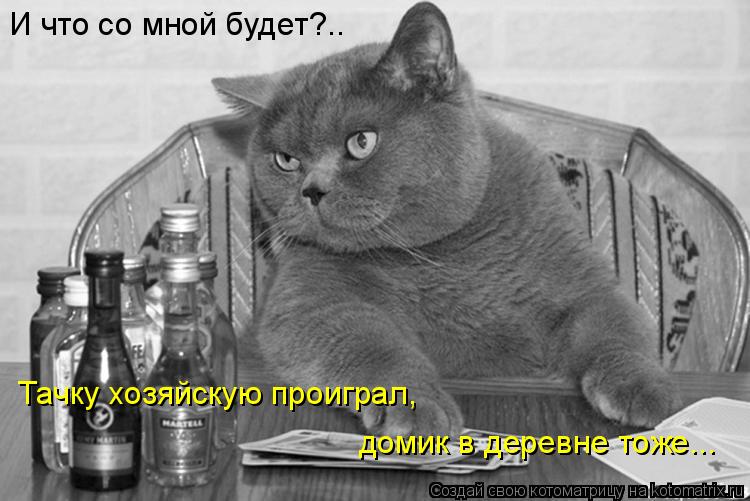 И что со мной будет?.. Тачку хозяйскую проиграл, домик в деревне тоже...... Котоматрица: И что со мной будет?.. Тачку хозяйскую проиграл, домик в деревне тоже...