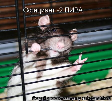 Котоматрица: Официант -2 ПИВА