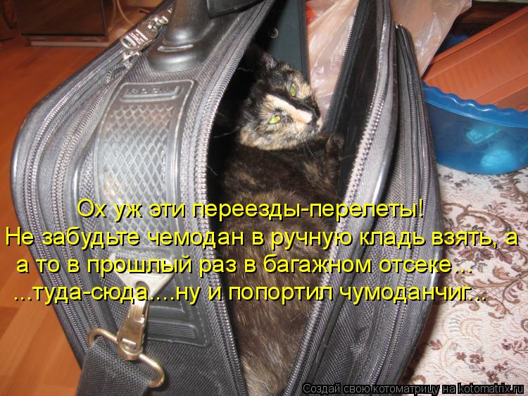 Котоматрица: Ох уж эти переезды-перелеты! Не забудьте чемодан в ручную кладь взять, а ...туда-сюда....ну и попортил чумоданчиг... а то в прошлый раз в багажно