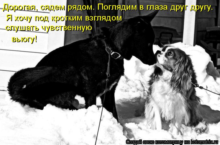 Дорогая, сядем рядом. Поглядим в глаза друг другу. Я хочу под кротким взглядом слушать чувственную ... Котоматрица: Дорогая, сядем рядом. Поглядим в глаза друг другу. Я хочу под кротким взглядом слушать чувственную вьюгу!