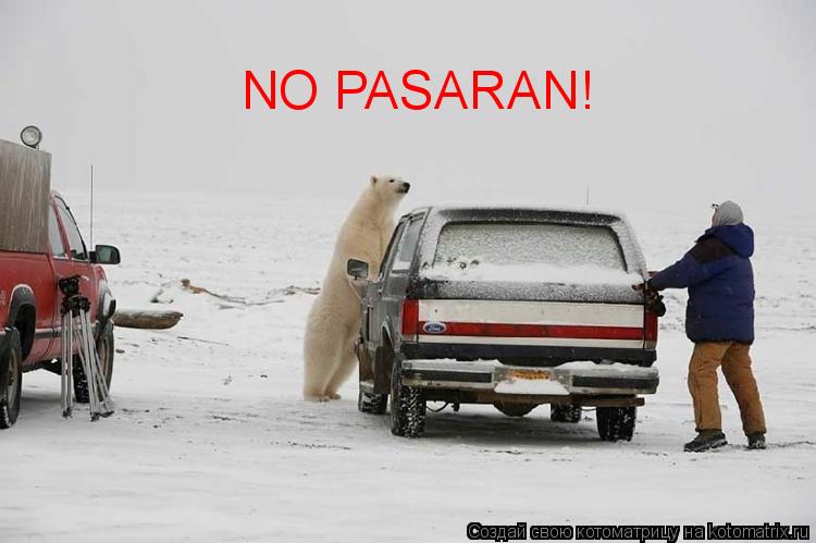 Котоматрица: NO PASARAN!
