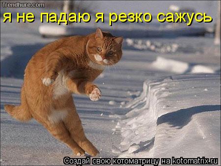 Котоматрица: я не падаю я резко сажусь