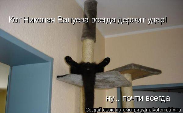 Котоматрица: Кот Николая Валуева всегда держит удар!    ну... почти всегда