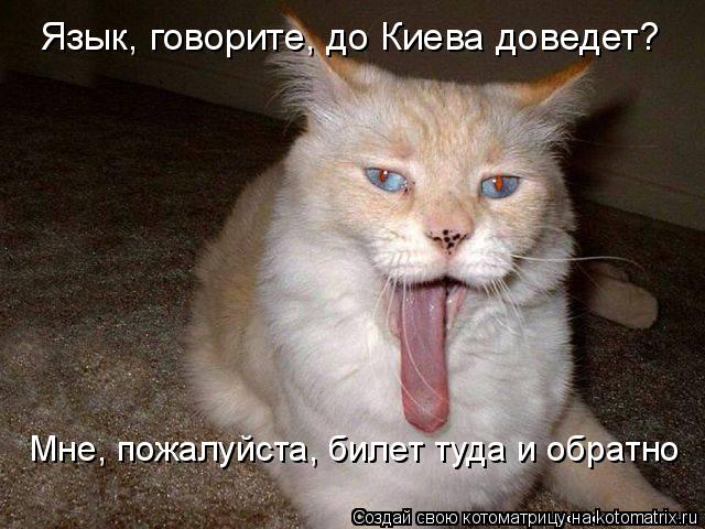Язык, говорите, до Киева доведет? Мне, пожалуйста, билет туда и обратно... Котоматрица: Язык, говорите, до Киева доведет? Мне, пожалуйста, билет туда и обратно